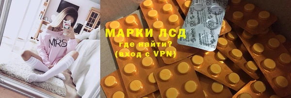 гидра Арсеньев