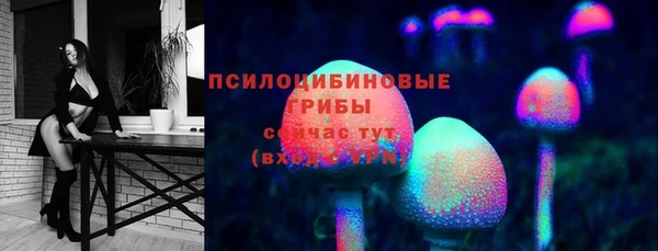 гашик Армянск