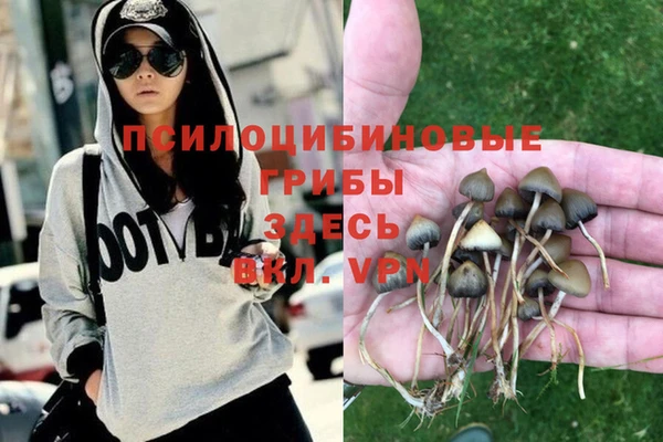 эйфоретик Баксан