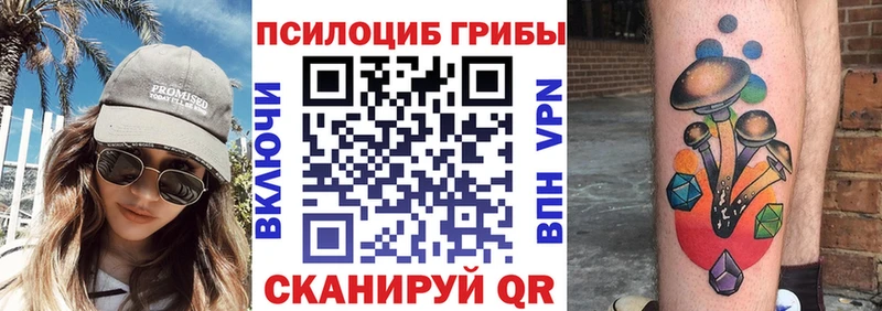 Псилоцибиновые грибы GOLDEN TEACHER  Кубинка 