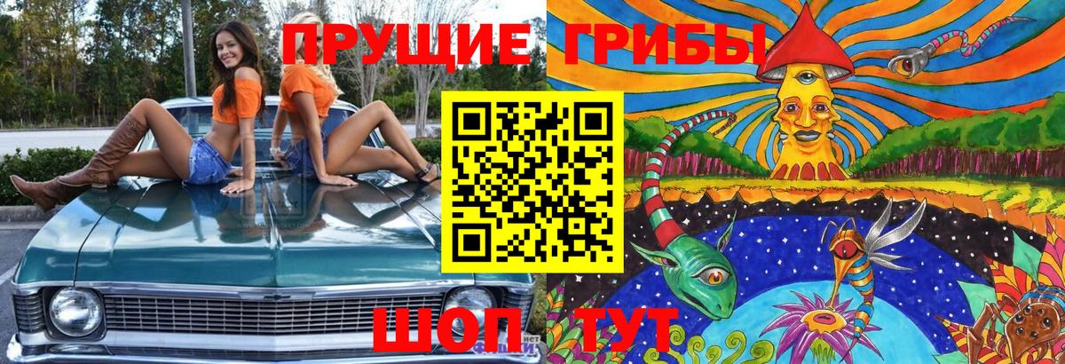 купить наркоту  Галлюциногенные грибы Psilocybe  Вход с VPN  Кубинка 